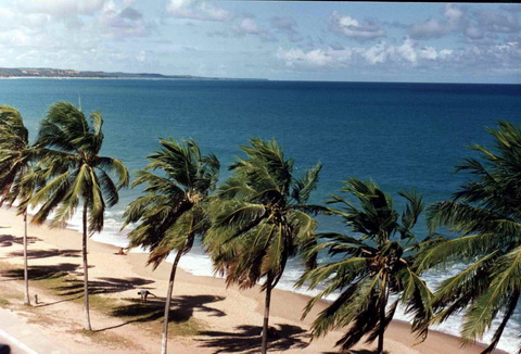 Beach in Macei, Alagoas