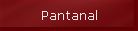 Pantanal