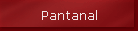 Pantanal