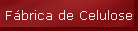 Fbrica de Celulose
