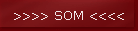 >>>> SOM <<<<