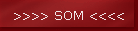 >>>> SOM <<<<