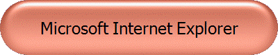Microsoft Internet Explorer