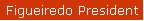 Figueiredo President