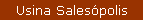 Usina Salespolis