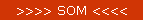 >>>> SOM <<<<