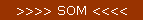 >>>> SOM <<<<